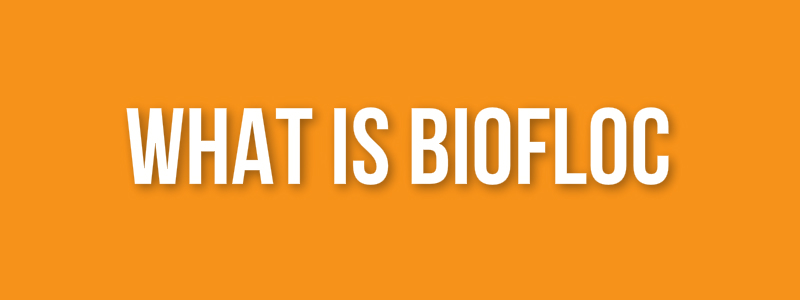 What is BIOFloc