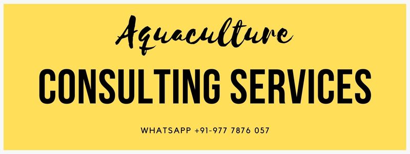 Aquaculture Consultancy Services