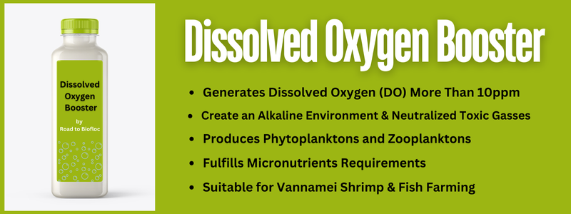 Dissolved Oxygen Booster