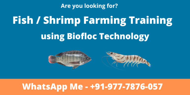 Biofloc Fish Farming Training.pdf Biofloc Fish Farming and Shrimp Farming Training in India