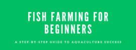 Fish Farming for Beginners