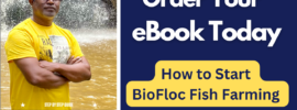 Road to Biofloc Fish Farming eBook