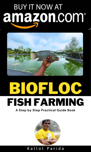 Biofloc Fish Farming A Step by Step Practical Guide book by Road to Biofloc