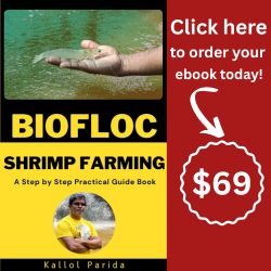 What is Biofloc Fish Farming? - Road to BIOFloc - Advance Fish Farming