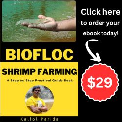 Sustainable Shrimp Farming Biofloc eBook